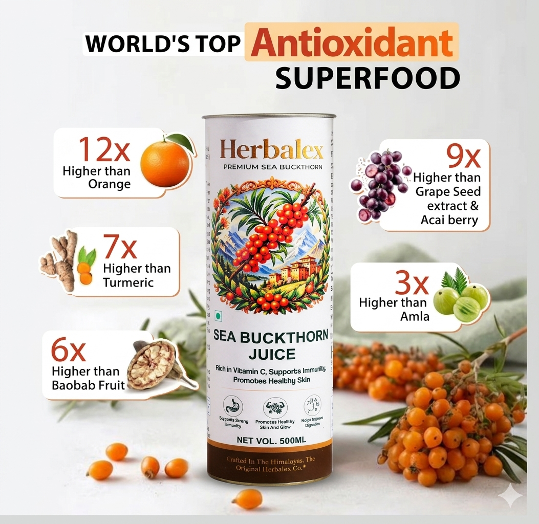 Premium Sea Buckthorn Juice