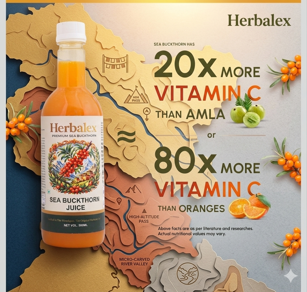 Premium Sea Buckthorn Gummies | Daily Health Supplement